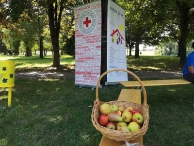 225357561 4100510426710825 1036825586991325489 n.jpeg