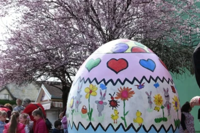 165707469 3745469185548286 6140621242222608520 n.jpeg