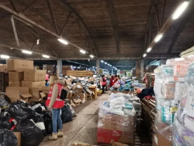 137535285 3536702806424926 4670123647147749945 n.jpeg