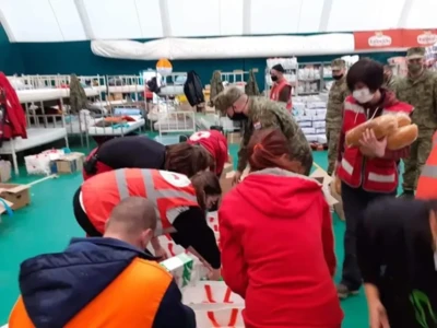 137663887 3536702979758242 592299725228483848 n.jpeg