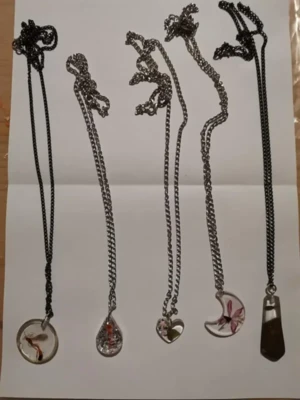 129015562 3443154729113068 7536779315365945349 n.jpeg