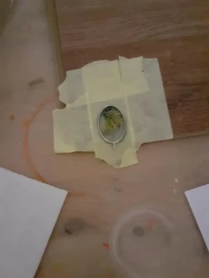 127213806 3430064947088713 4581621783787359485 n.jpeg