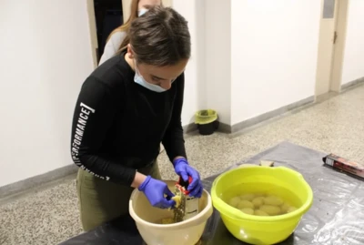 123255556 3354587954636413 8465477143819941278 o.jpeg