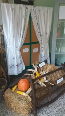 22179671 1443364959092065 7527933643723686427 o.jpeg