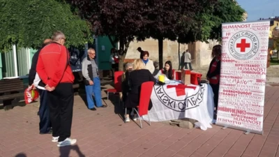 22181179 1442652855829942 6571896320794921769 o1.jpeg