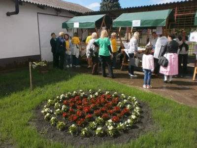 18489773 1319020624859833 8410873030877764978 o.jpeg