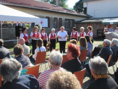 18558875 1319018618193367 9051158159282580285 o.jpeg