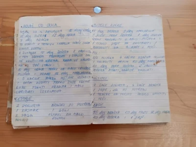 405977460 745041864319508 1764560456111917829 n.jpeg