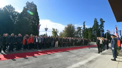 53279823909 17d2329b70 o.jpeg