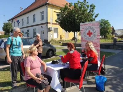 376781079 699017605588601 8894362767088858652 n.jpeg