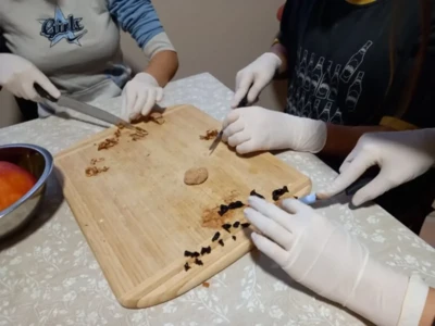 319500038 525274362994398 2030812182817962632 n.jpeg