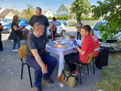 280880775 5015741585187700 5241198412178988792 n.jpeg