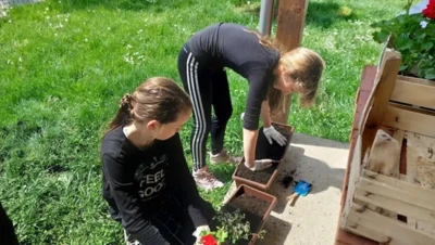 279423673 1045284776083722 5135177055916968650 n.jpeg