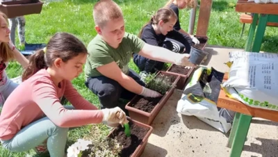 279686876 382782543760343 5579116725589954415 n.jpeg