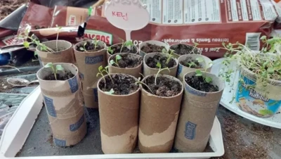 276197425 4863441470417713 1133695988516740082 n.jpeg