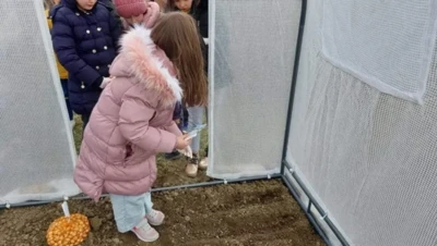 276275461 4863442280417632 5835261696152276046 n.jpeg