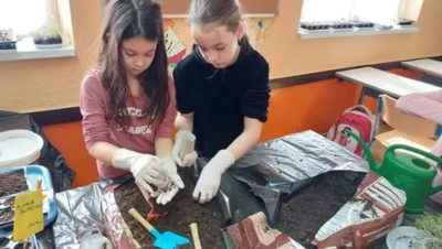 277348166 4863441700417690 436302474495653864 n.jpeg